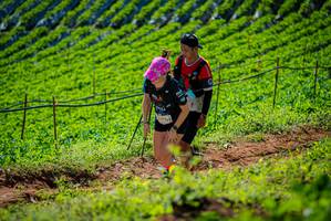 BIB: 
                            <button type="button" onclick="openModal(19162088)" class="btn btn-primary btn-sm float-right btn-popup" data-toggle="modal" data-target=".modal-high-quality">
                        <i class="fas fa-shopping-cart"></i> Add to Cart
                    </button>
                                            <button type="button" onclick="isThisMe(19162088, true)" class="btn btn-success btn-sm float-right btn-popup btn-isme hidden" data-toggle="tooltip" data-placement="bottom" title="นี่คือรูปของคุณใช่ไหม คลิกที่นี่เพื่อเอาเข้าอัลบั้ม">
                        <i class="fas fa-plus"></i> Add to album
                    </button>
                    <button type="button" onclick="isThisMe(19162088, false)" class="btn btn-warning btn-sm float-right btn-popup btn-isnotme hidden">
                        <i class="fas fa-ban"></i> Remove from album
                    </button>